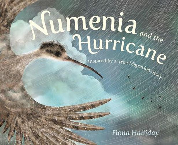 Cover image for Numenia and the Hurricane: Inspired by a True Migration Story