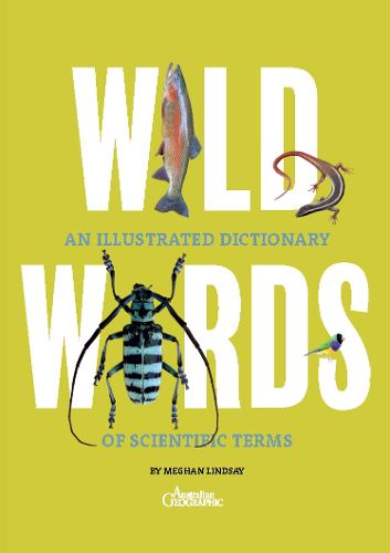 Cover image for Wild Words