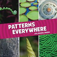 Cover image for Patterns Everywhere