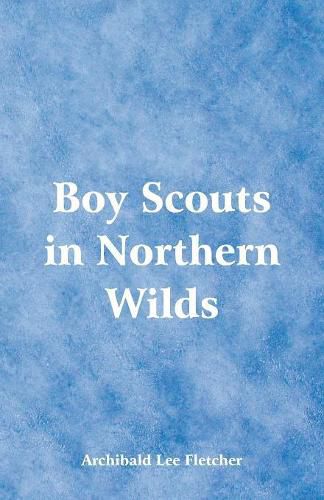 Cover image for Boy Scouts in Northern Wilds