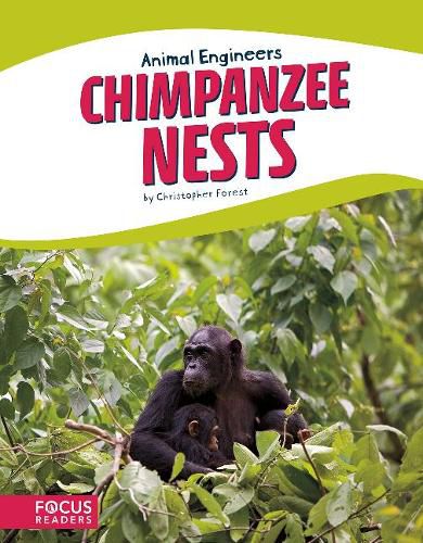 Cover image for Animal Engineers: Chimpanzee Nests