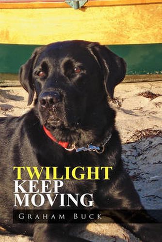 Cover image for Twilight Keep Moving