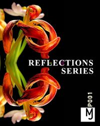 Cover image for Reflections + Series by Joachim Mantel