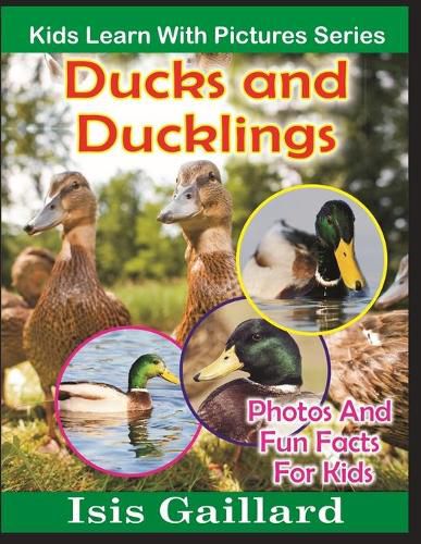 Cover image for Ducks and Ducklings: Photos and Fun Facts for Kids