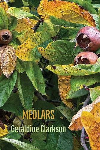 Cover image for Medlars