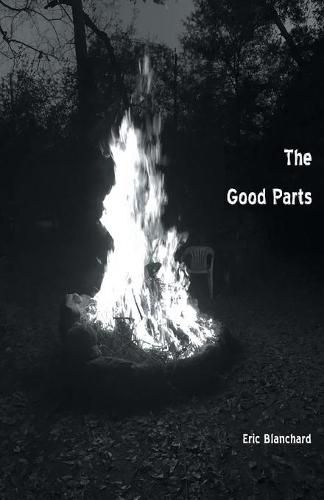 Cover image for The Good Parts