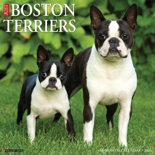 Cover image for Boston Terriers 2026 Wall Calendar