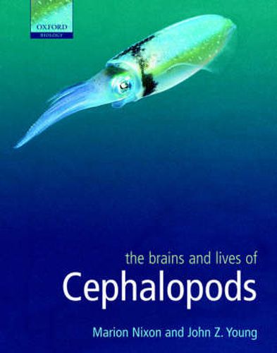 Cover image for The Brains and Lives of Cephalopods