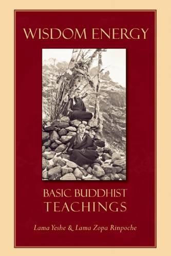 Wisdom Energy: Basic Buddhist Teachings