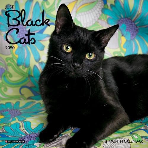 Cover image for Just Black Cats 2020 Mini Wall Calendar