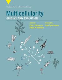 Cover image for Multicellularity: Origins and Evolution