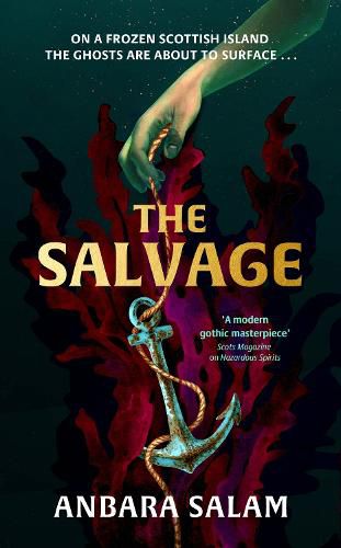Cover image for The Salvage