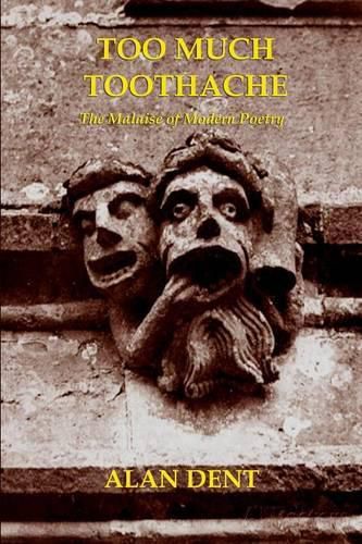 Cover image for Too Much Toothache