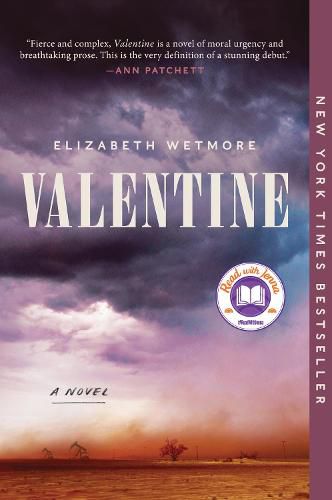 Cover image for Valentine