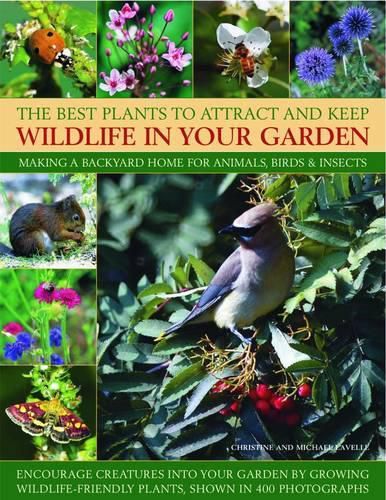 Cover image for Best Plants to Attract and Keep Wildlife in the Garden