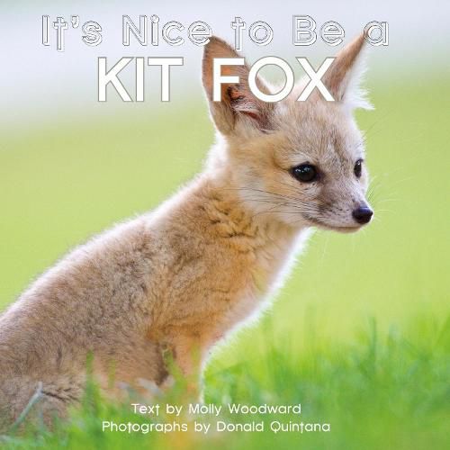 Cover image for It's Nice to Be a Kit Fox