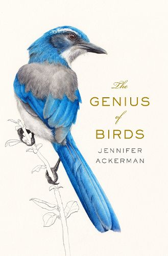 Cover image for The Genius of Birds