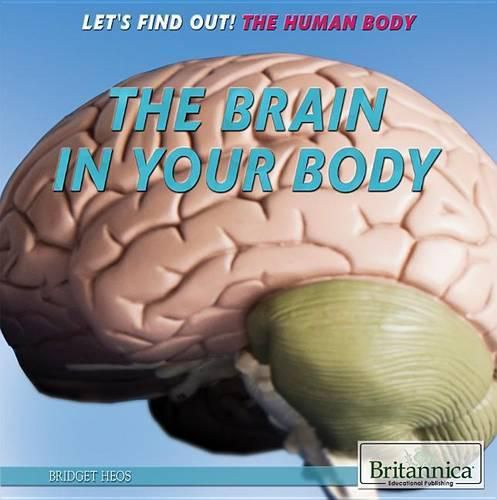 Cover image for The Brain in Your Body