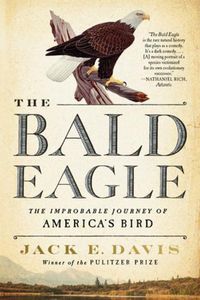 Cover image for The Bald Eagle