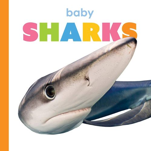Cover image for Baby Sharks
