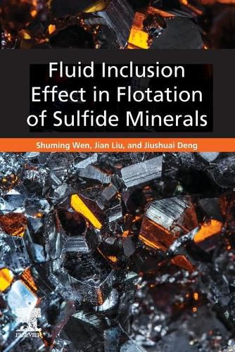 Cover image for Fluid Inclusion Effect in Flotation of Sulfide Minerals