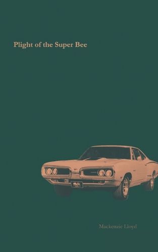 Cover image for Plight of the Super Bee