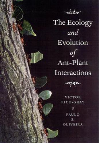 Cover image for The Ecology and Evolution of Ant-plant Interactions