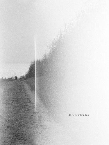 Cover image for I'll Remember You: Jonas Dahlstroem