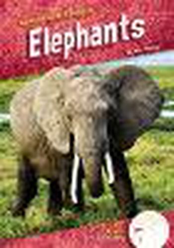 Cover image for Elephants