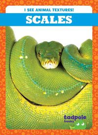 Cover image for Scales