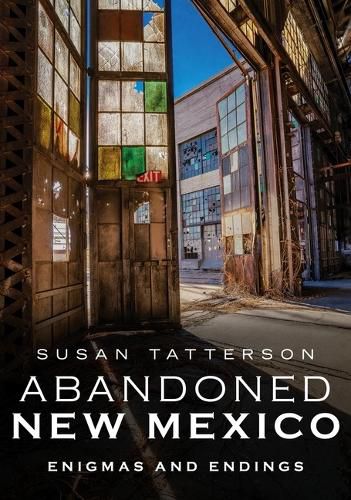 Cover image for Abandoned New Mexico: Enigmas and Endings