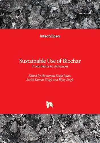 Sustainable Use of Biochar