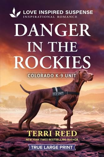 Cover image for Danger in the Rockies