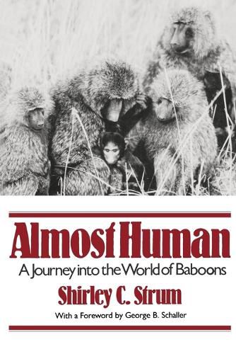 Cover image for Almost Human: A Journey Into the World of Baboons