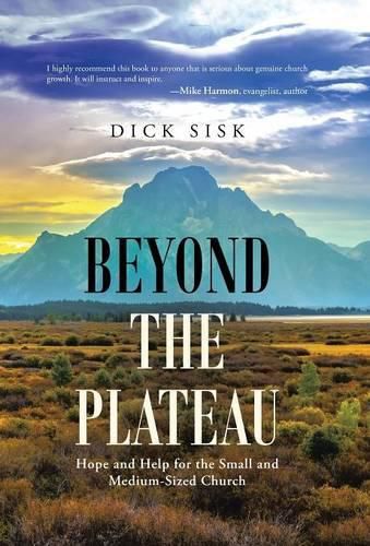 Cover image for Beyond the Plateau: Hope and Help for the Small and Medium-Sized Church