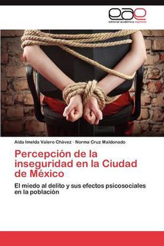 Cover image for Percepcion de La Inseguridad En La Ciudad de Mexico