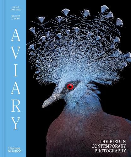 Cover image for Aviary