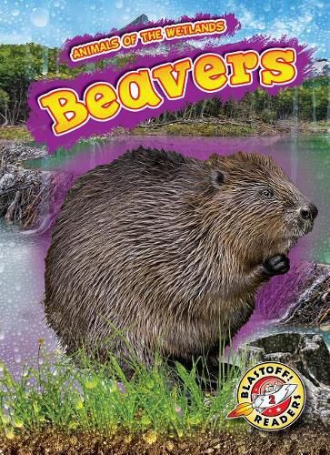 Cover image for Beavers