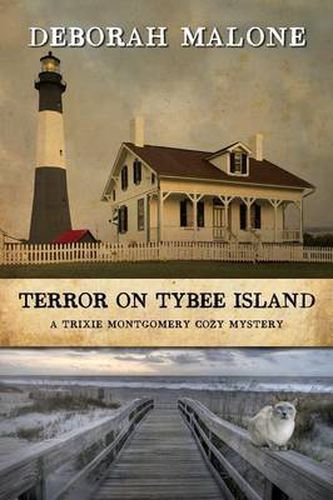 Cover image for Terror on Tybee Island