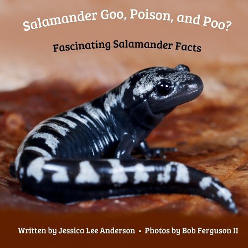 Cover image for Salamander Goo, Poison, and Poo? Fascinating Salamander Facts