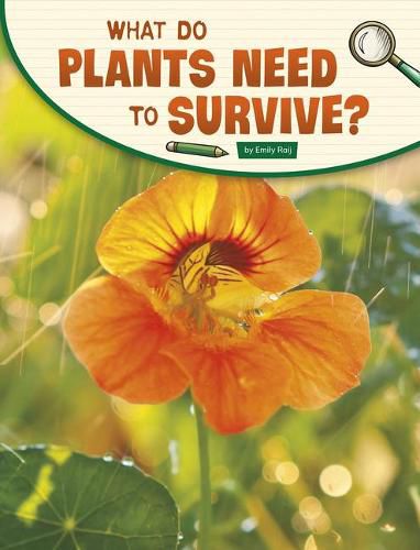 Cover image for What Do Plants Need to Survive?