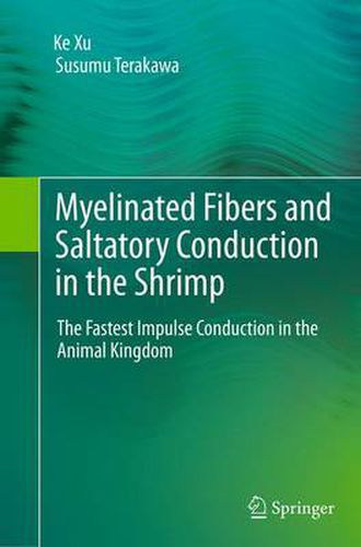 Cover image for Myelinated Fibers and Saltatory Conduction in the Shrimp: The Fastest Impulse Conduction in the Animal Kingdom