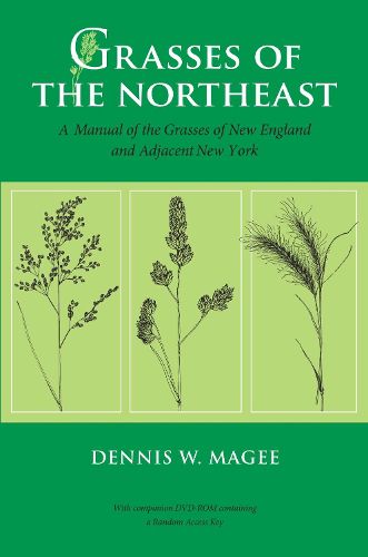 Cover image for Grasses of the Northeast