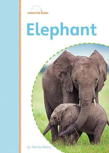 Cover image for Elephant