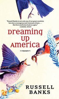 Cover image for Dreaming Up America