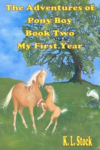 Cover image for The Adventures of Pony Boy Book Two: My First Year: My First Year