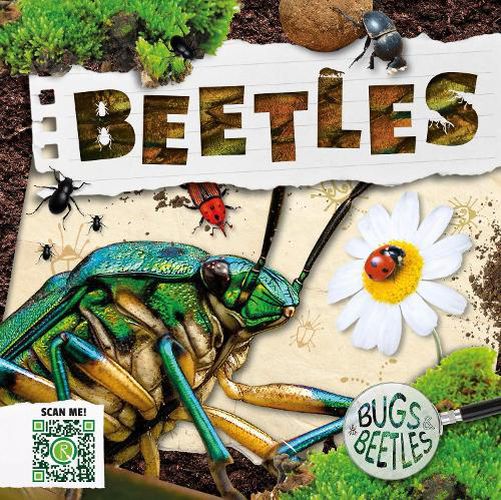 Cover image for Beetles