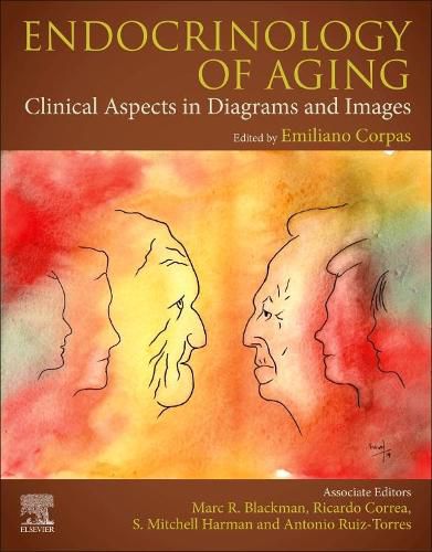 Cover image for Endocrinology of Aging: Clinical Aspects in Diagrams and Images