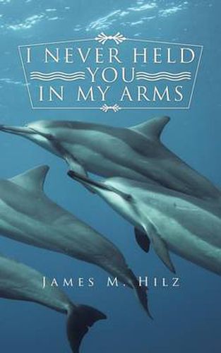 Cover image for I Never Held You in My Arms