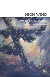 Cover image for High Wind